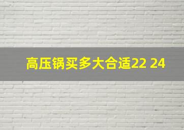 高压锅买多大合适22 24